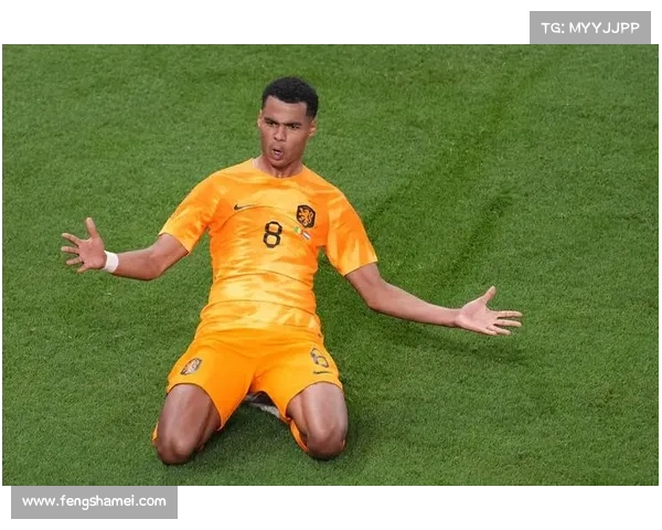 14年世界杯荷兰完胜巴西斩获季军！下图首发11人缺少了哪4位？